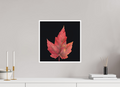 15 x 15″, Canson Photographique II with .4" white border Maple Leaf