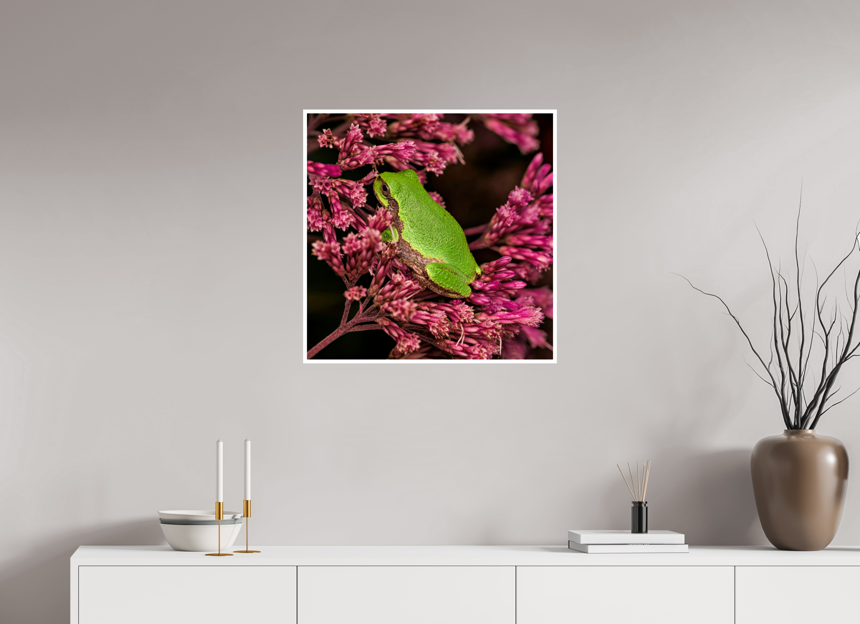 25 x 25″, Hahnemuhle Photo Silk Baryta X with .4" white border Green Tree Frog perched in Sweet Joe Pye Weed Blossom