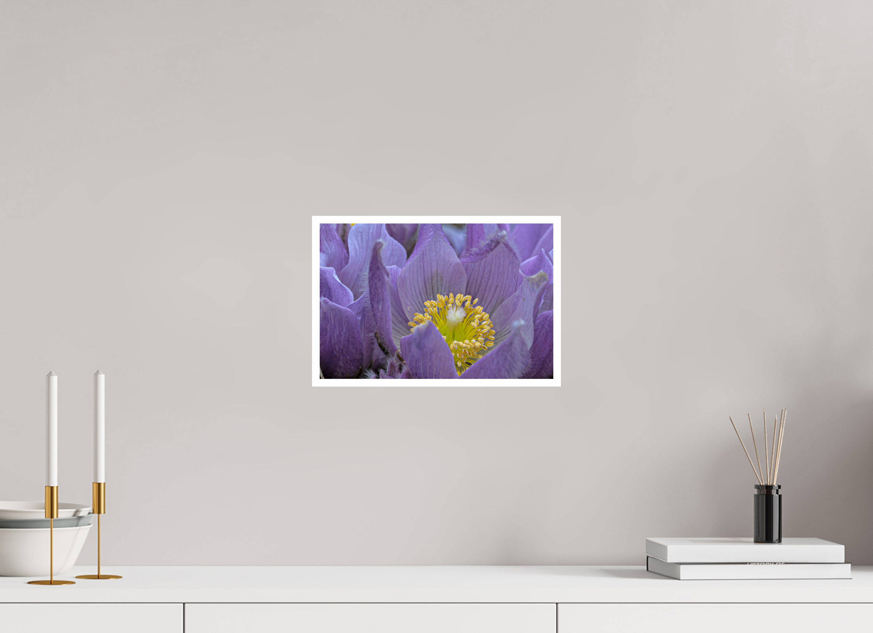 12 x 8″, Canson Baryta Prestige II with .4" white border Pasque Flower