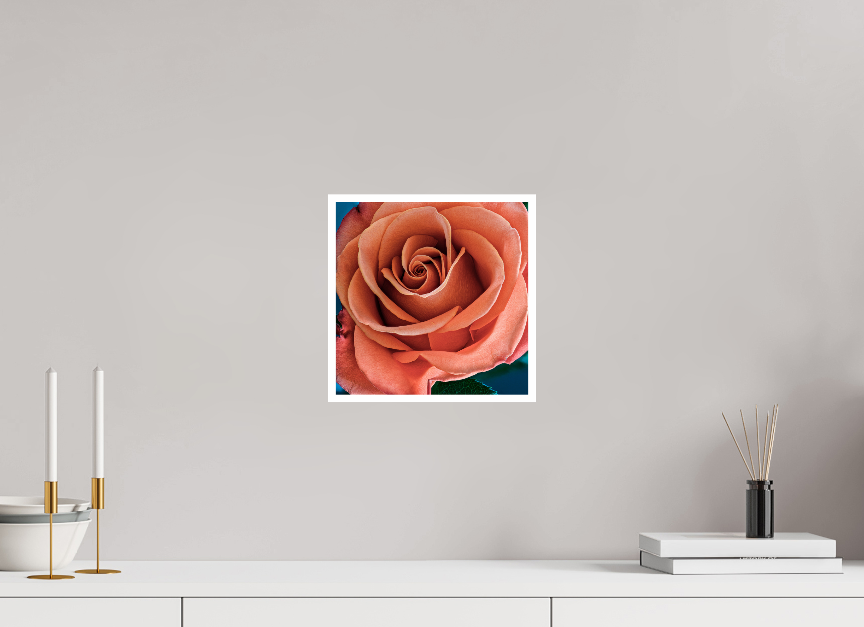 10 x 10″, Hahnemuhle Photo Silk Baryta X with .4" white border Orange Sherbet Rose