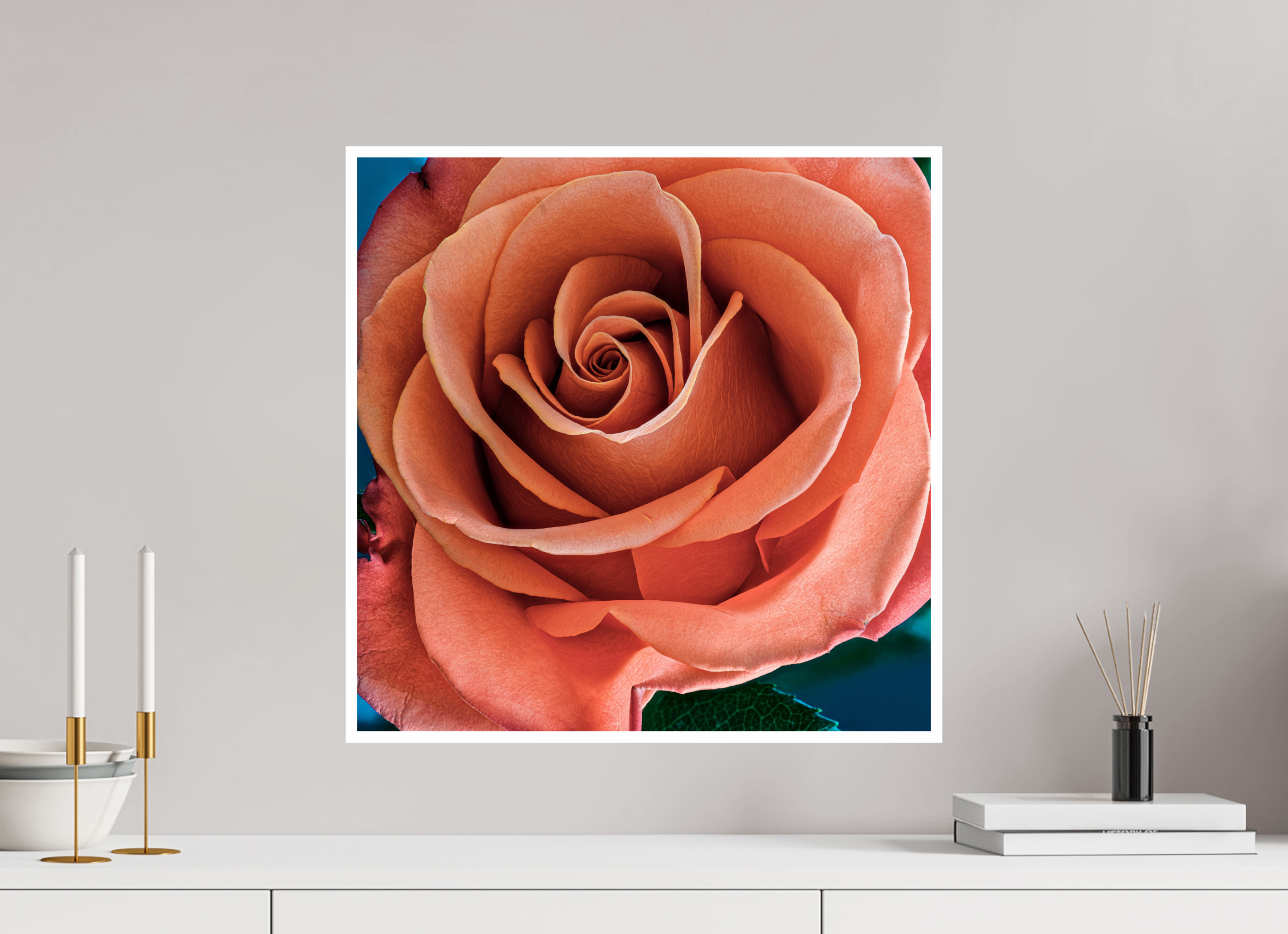 20 x 20″, Hahnemuhle Photo Silk Baryta X with .4" white border Orange Sherbet Rose