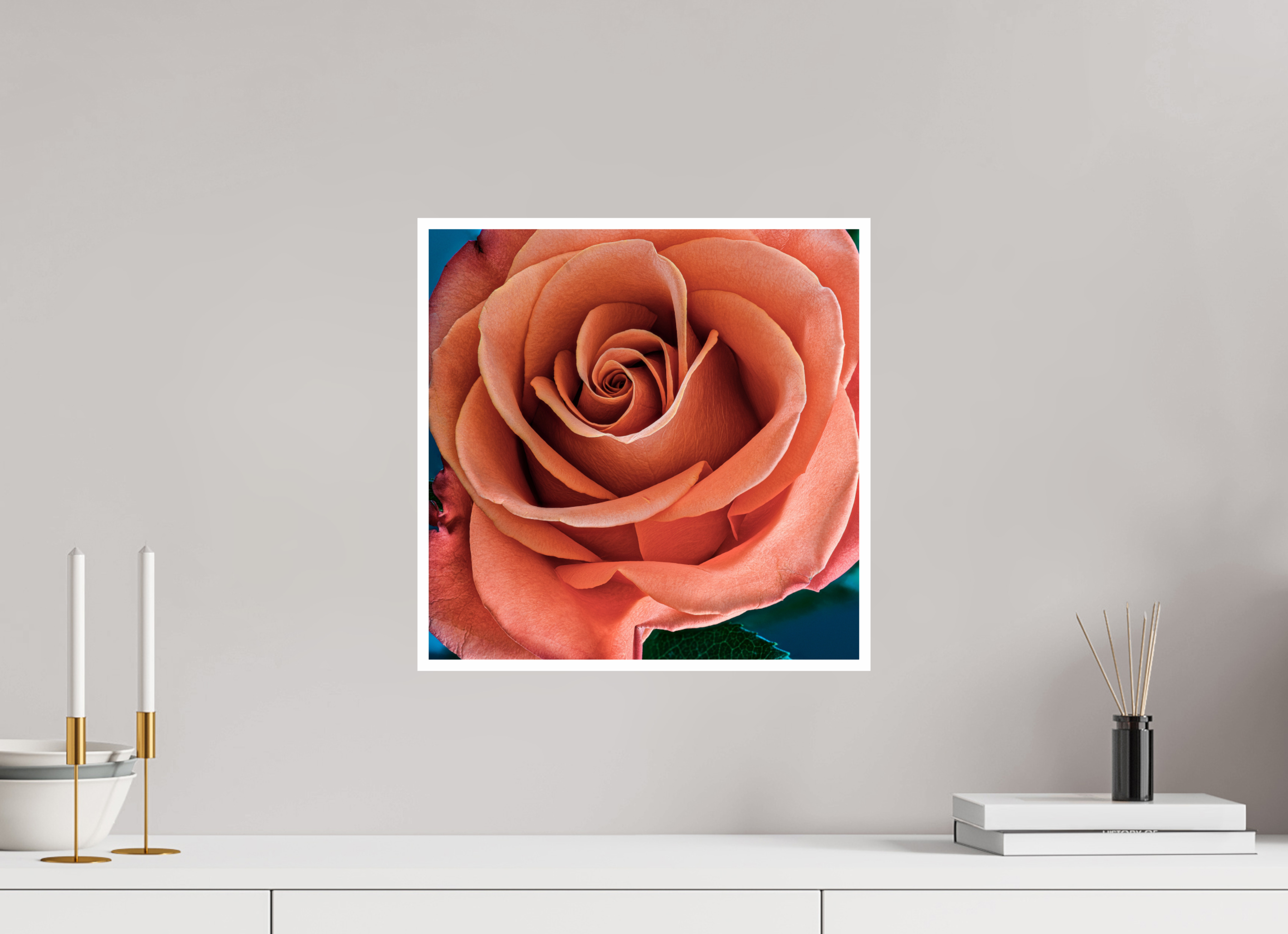 15 x 15″, Hahnemuhle Photo Silk Baryta X with .4" white border Orange Sherbet Rose