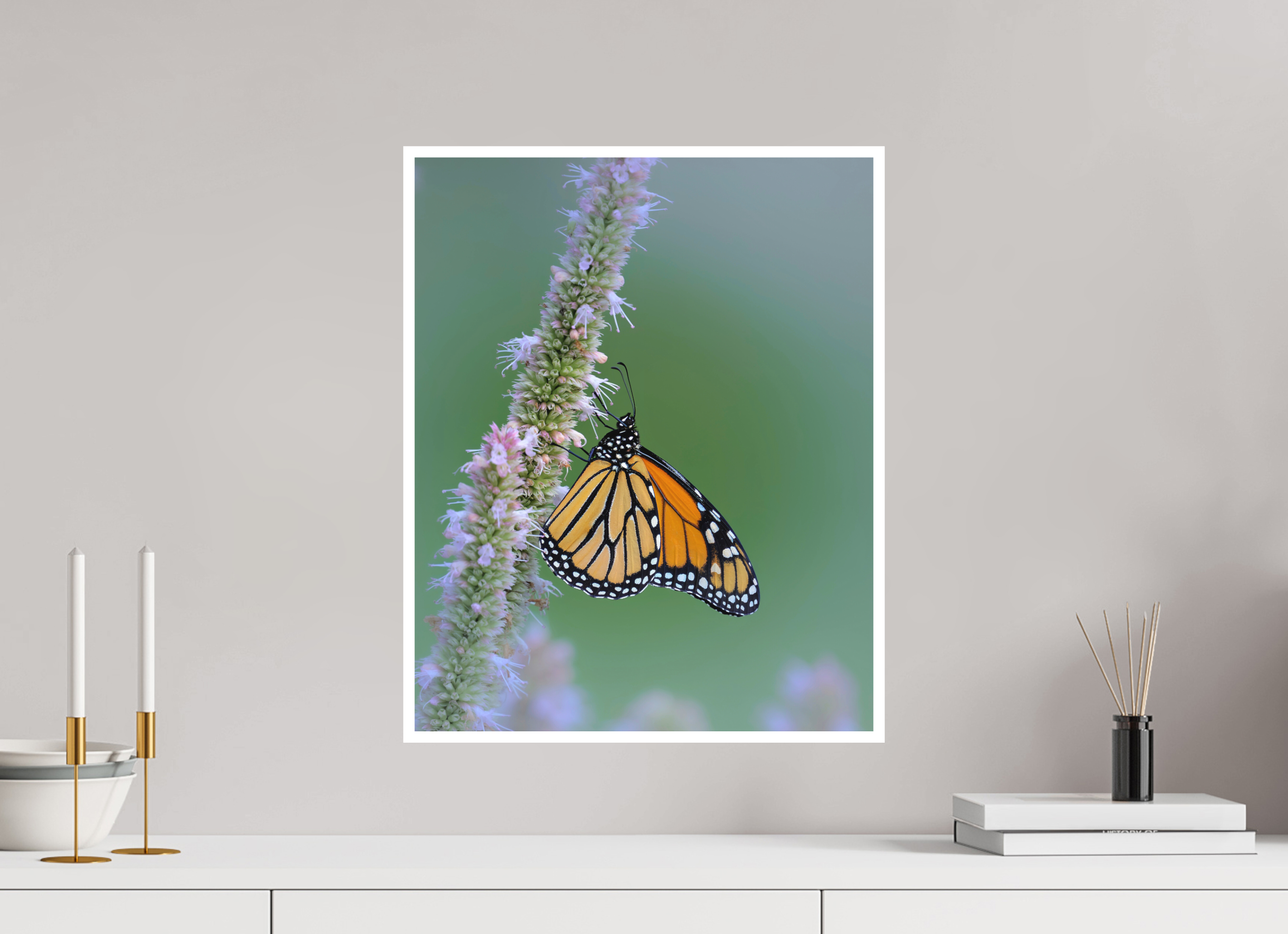 16 x 20″, Canson Photographique II with .4" white border Monarch Butterfly on Hyssop