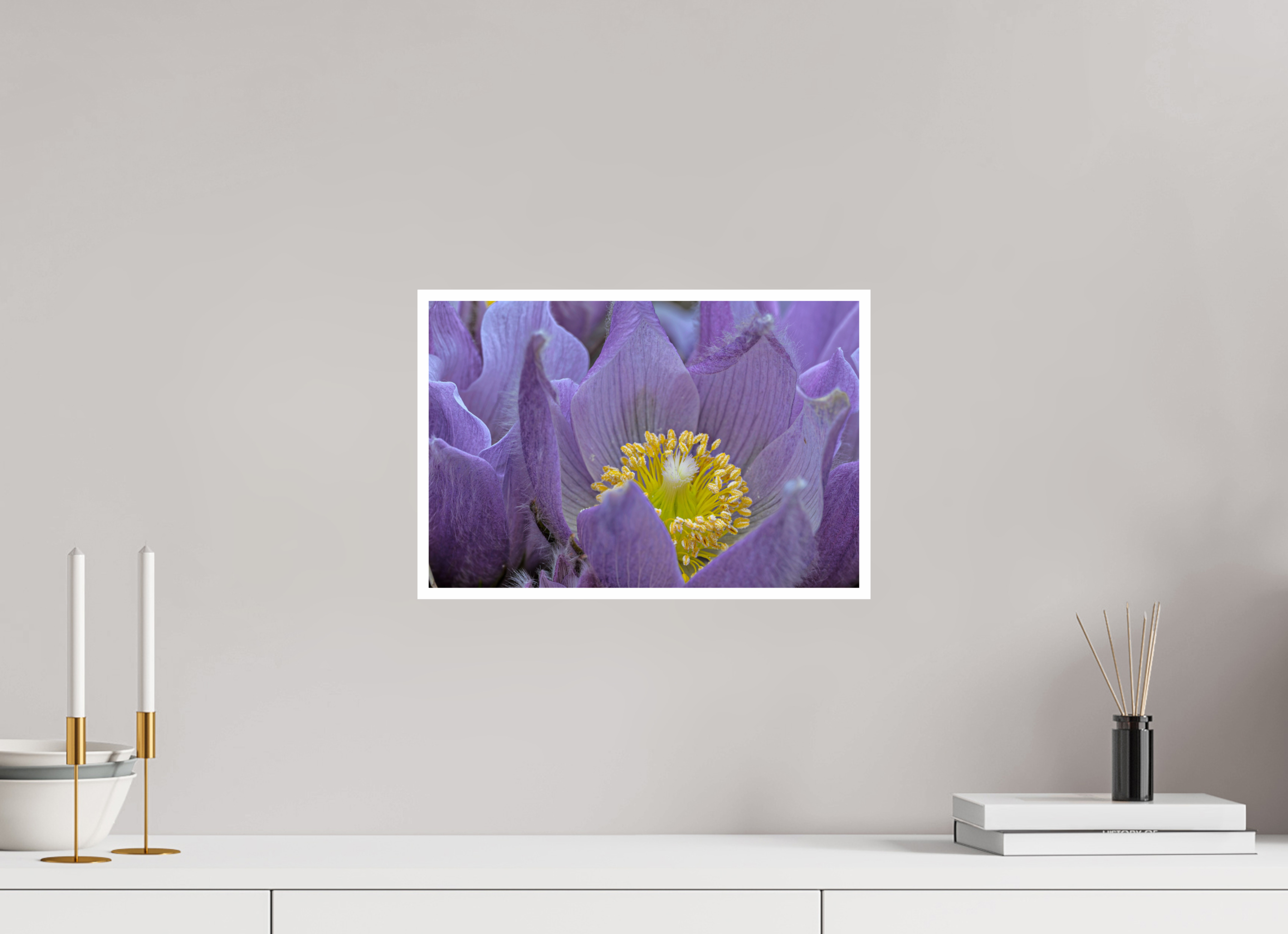 15 x 10″, Canson Baryta Prestige II with .4" white border Pasque Flower