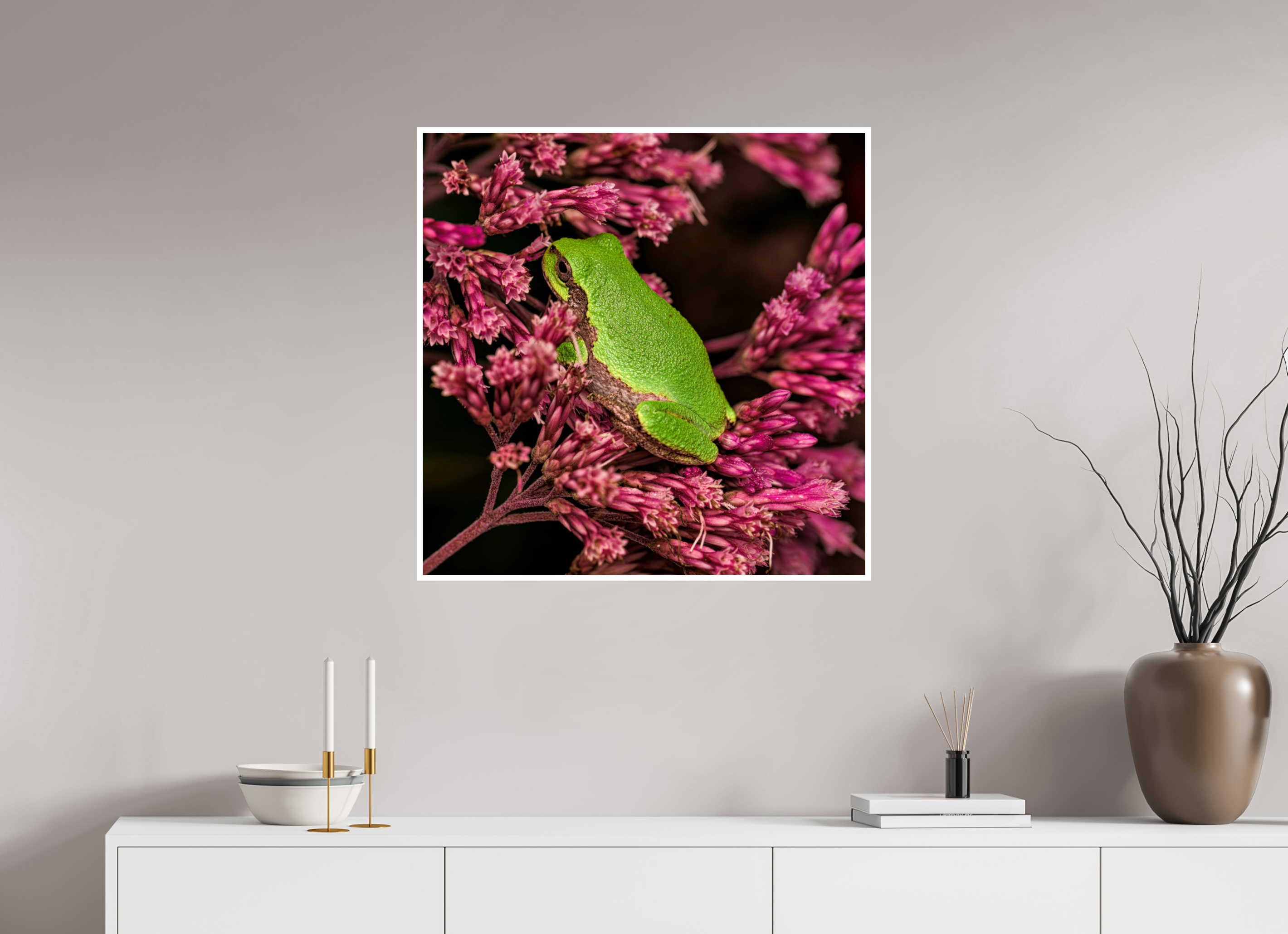 30 x 30″, Hahnemuhle Photo Silk Baryta X with .4" white border Green Tree Frog perched in Sweet Joe Pye Weed Blossom