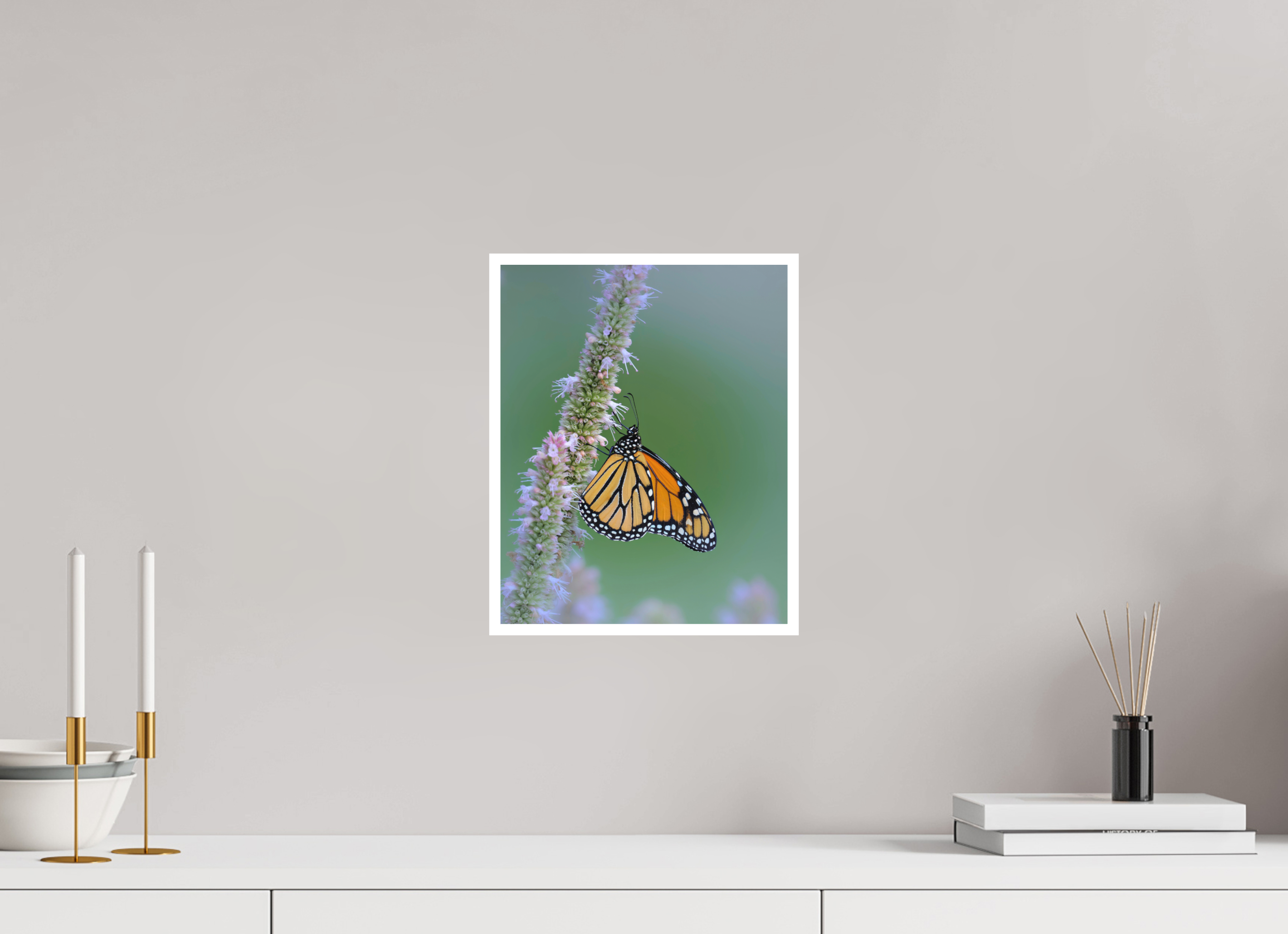 10 x 12.5″, Canson Photographique II with .4" white border Monarch Butterfly on Hyssop